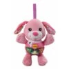 VTech Baby Knuffel En Speel Puppy - Roze 1 VTech Baby Knuffel En Speel Puppy - Roze -Barbie || Baby Born Verkoopwinkel 1750440